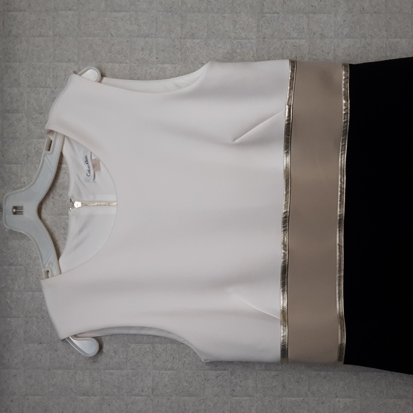 Calvin Klein Color Block Sleeveless Sheath Dress - Picture 3 of 7